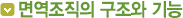 면역조직의 구조와 기능